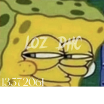 loz dhc
