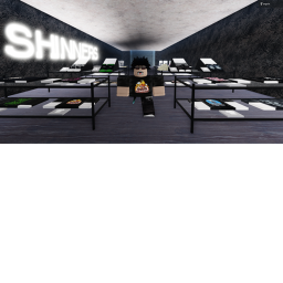 Shinners Homestore.