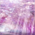 Sakura Garden
