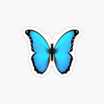 Butterflyssquad