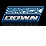 WWE World Wrestling Entertainment Federation