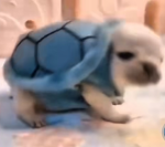 Sigma Bundlez
