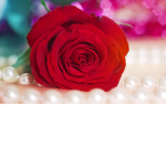 Z & W Funeral Home Services