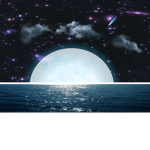 Blue Moon Shipping