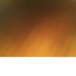 Vdjdgs