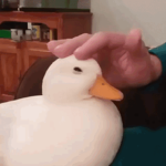 =+-.KEXLOG.-+=