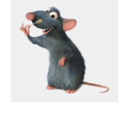 Rat hangout