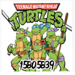 Teenage Mutant Ninja Turtles Gang