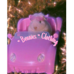 ~ Bvnnies ~