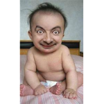 BeanBabyBuilds