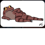 The Frog Family :3