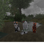 Warrior cats ultimate edition fan club!!!