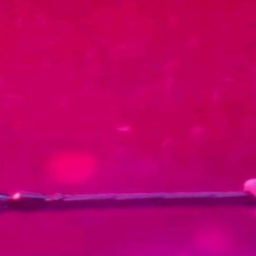⋆˚𝜗𝜚˚⋆