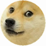 Doge world fan group