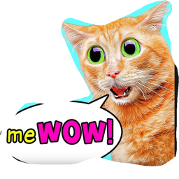 Cat Catch--Alpha 1.0.0