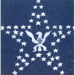 Axis American Joint Forces