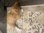 friendly group beacuse why not