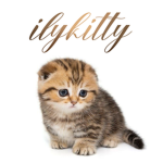 ilykitty