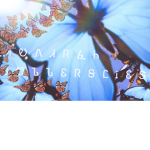 _Monarch Butterflies_