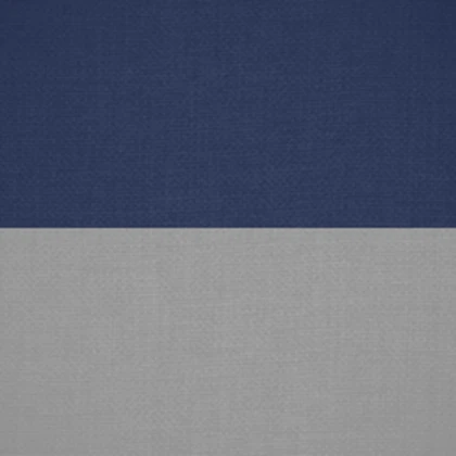 Braunswick Ducal Corps - Adjutantenkorps Roblox group icon