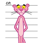 Pink Panther gang
