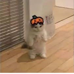 GameingKatz
