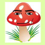 grzybiarzee