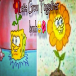 9゚゚