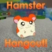 Hamster Hangout! icon