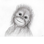 bebe orangutan funny