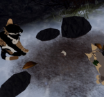 WarriorCatEdits!