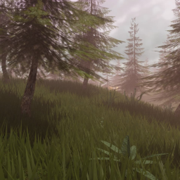 The Forest