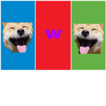DoggoNUTS studios