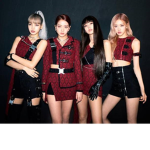 Blackpink fan group ll