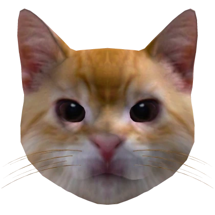 El Gato Orange Cat Head | Roblox Item - Rolimon's