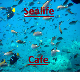 SeaLife Application Centre