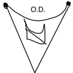 The Organisation of Darkness (OD)