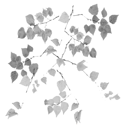 Square Two-Sided Decal