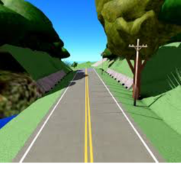 the road