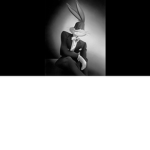 Project bunny