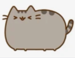 pawsheeen