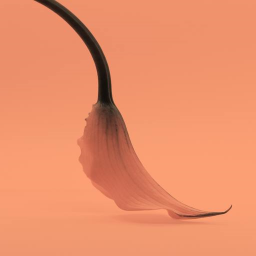 ʏᴏᴜʀ