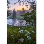 FairyAloha