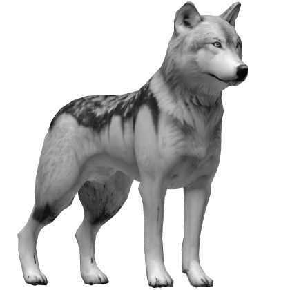 Wolf Roblox NoFilter