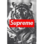 Backwoods Records
