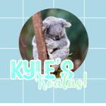 Kyle’s Koalas!