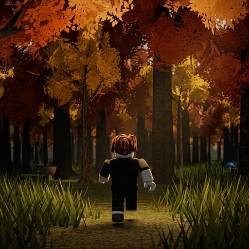 Looking for Mushrooms