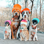Daisy Squad!!!