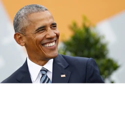 Vs Obama (Test) icon