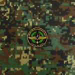 Philippine Force Reconnaissance Battalion